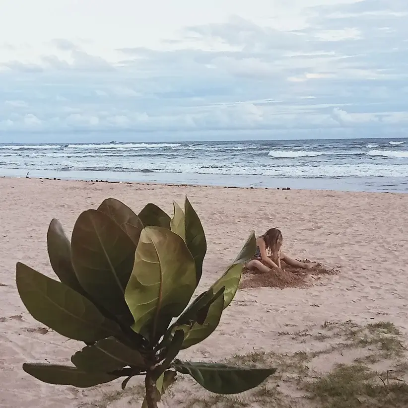 Beach View 3 Story Villa for Sale Beruwala -  6 Perches - 2 Rooms - 1 Apartment - 49,500,000