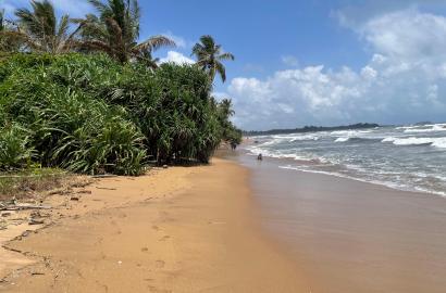 Beachfront Land for Sale in Beruwala -72 Perches - 1.2Mn PP