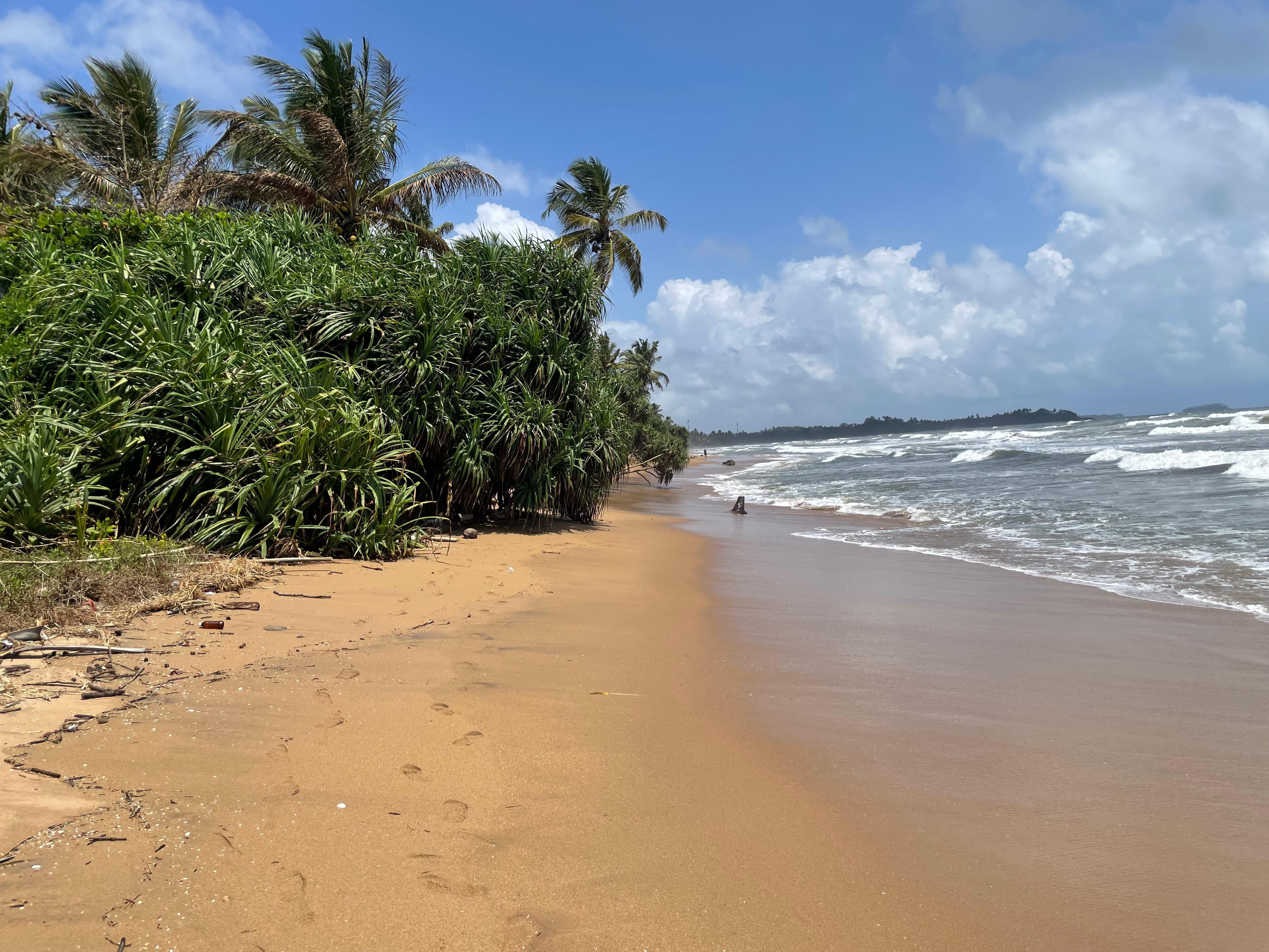 Beachfront Land for Sale in Beruwala -72 Perches - 1.2Mn PP
