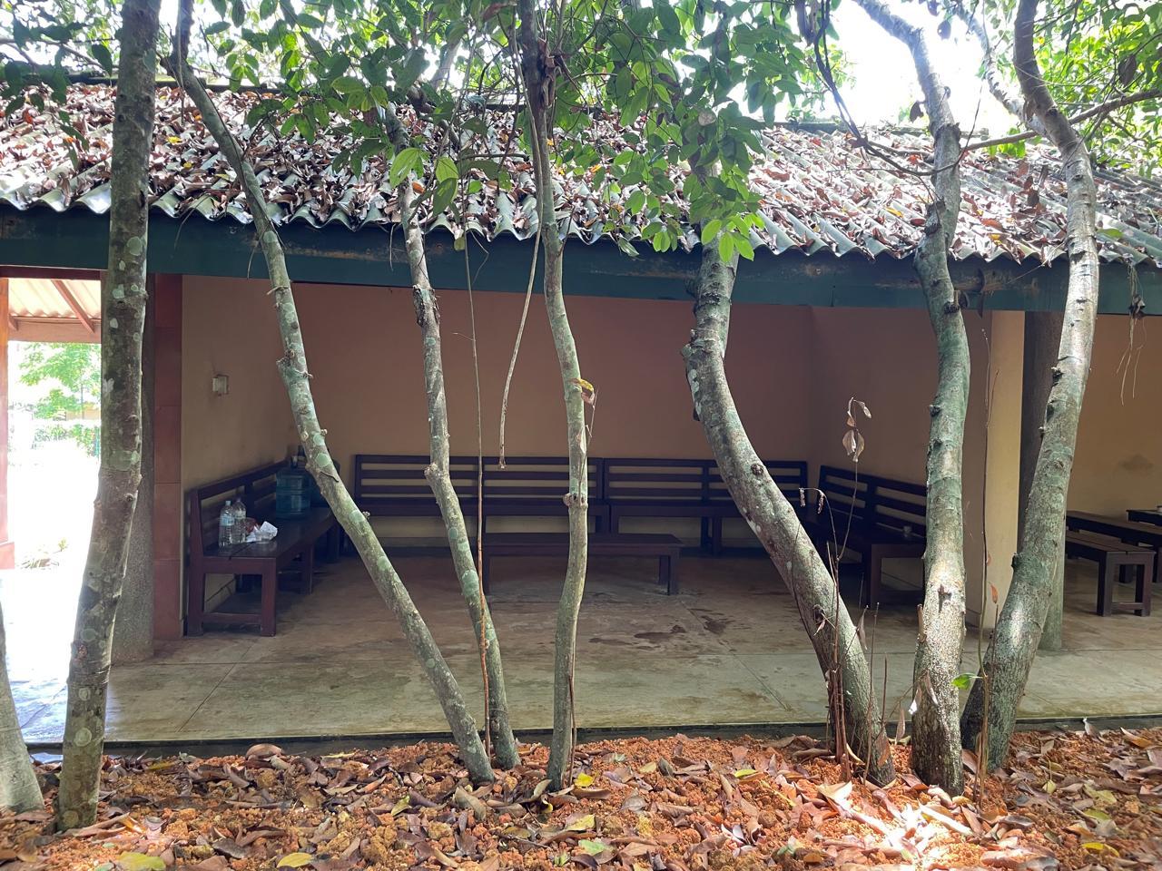 Ayurvedic Herbal Spice Garden for Sale In Bentota  - 75 Perches | Rs. 225 Million