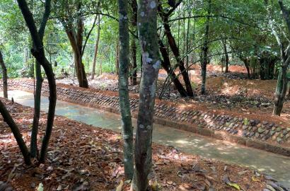 Ayurvedic Herbal Spice Garden for Sale In Bentota  - 75 Perches | Rs. 225 Million