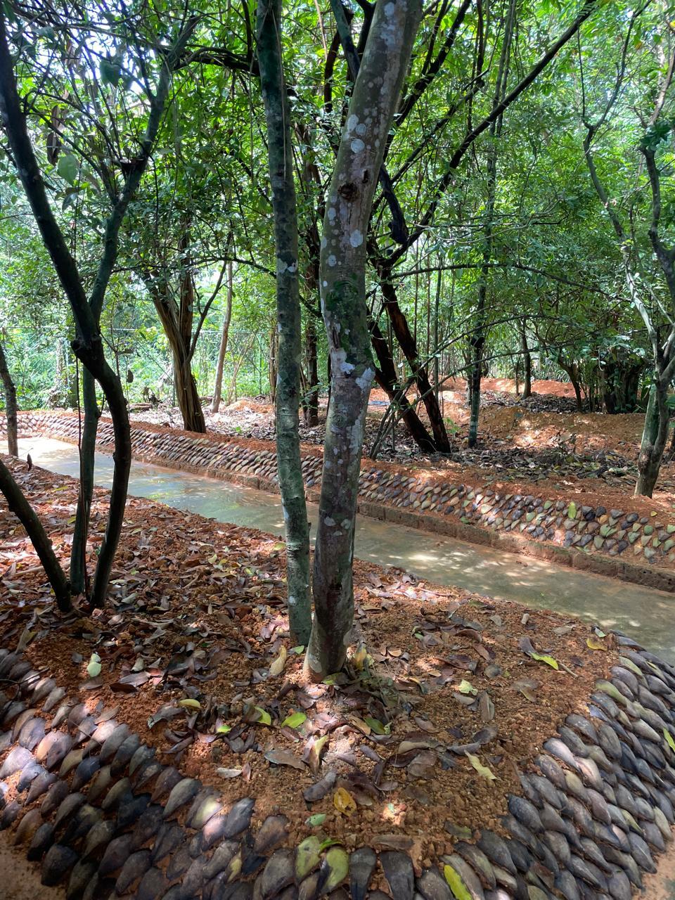 Ayurvedic Herbal Spice Garden for Sale In Bentota  - 75 Perches | Rs. 225 Million