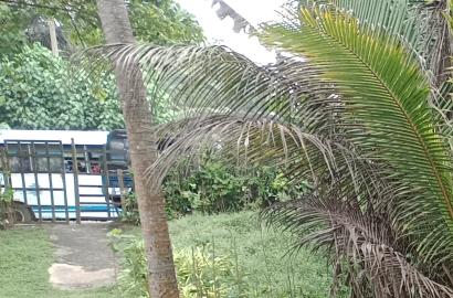 On the Beach Land for Sale in Beruwala – 34 Perches