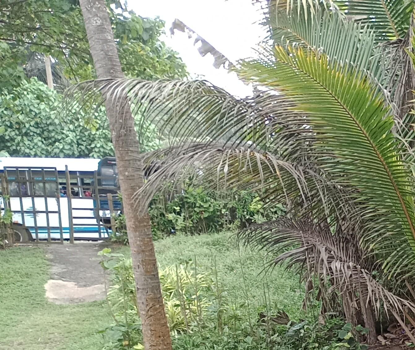 On the Beach Land for Sale in Beruwala – 34 Perches