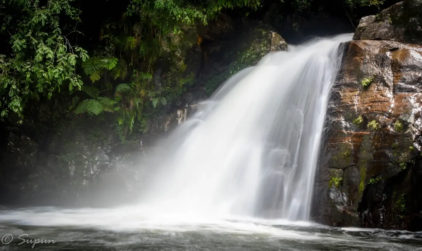 On The River Land for Sale In sinharaja forest - 3 Across - 32 Million