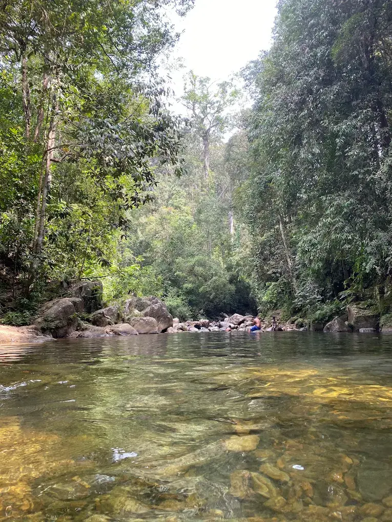 On The River Land for Sale In sinharaja forest - 3 Across - 32 Million