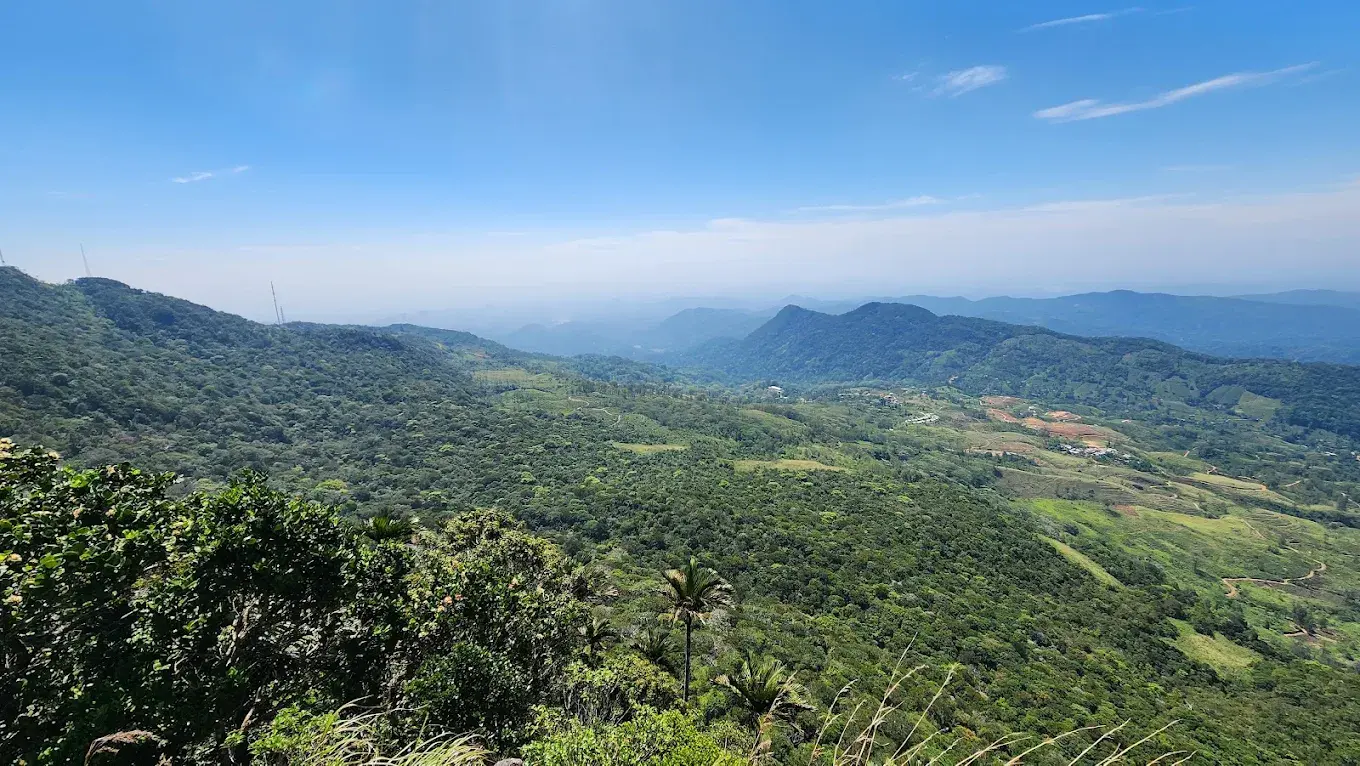 On The River Land for Sale In sinharaja forest - 3 Across - 32 Million