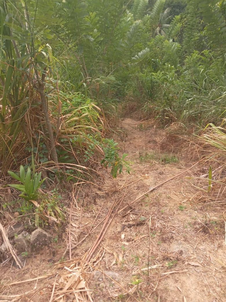 Land for Sale in Monaragala – Ideal for Hotel or Tourism Project | 35 Perches