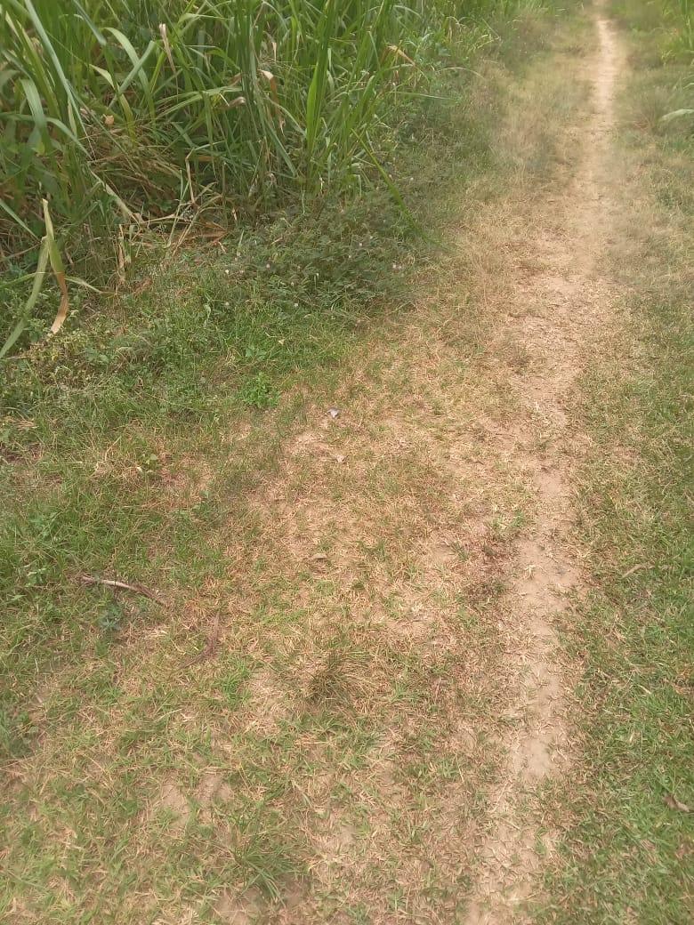 Land for Sale in Monaragala – Ideal for Hotel or Tourism Project | 35 Perches