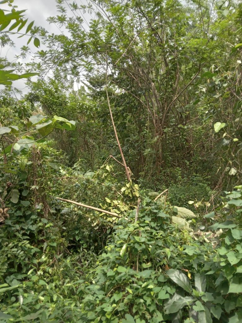 Land for Sale in Monaragala – Ideal for Hotel or Tourism Project | 35 Perches