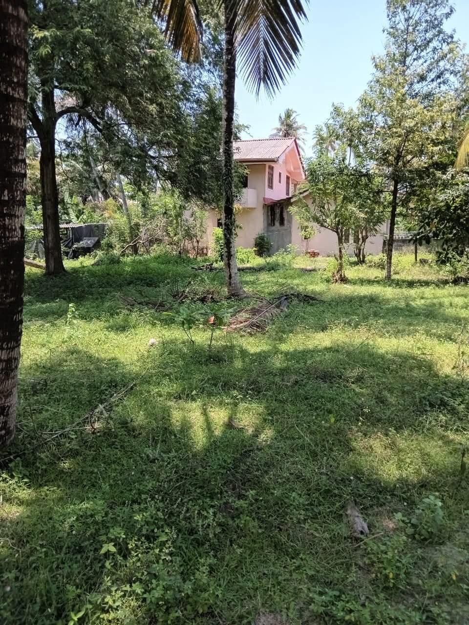 Land for Sale Uswattekeiyawa - 45 Perches - 6Lakhs Per Perch