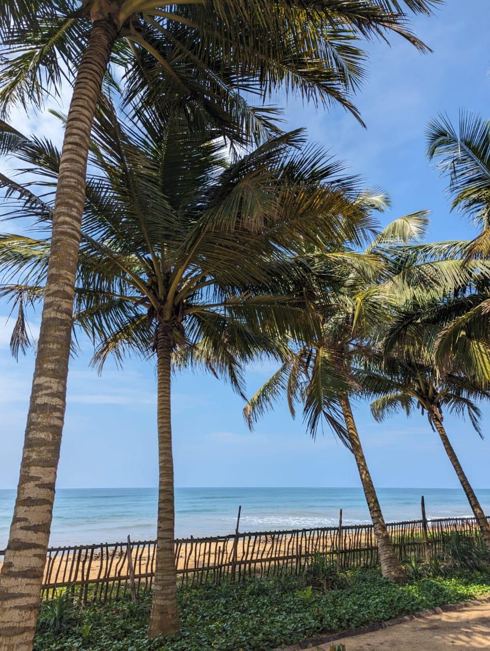 Luxury Beachfront Property for Sale in Waskaduwa
