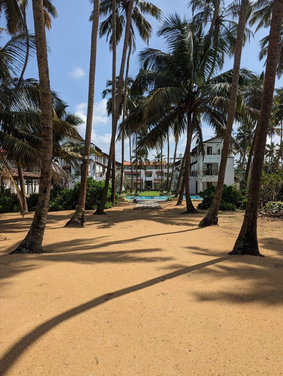 Luxury Beachfront Property for Sale in Waskaduwa