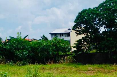 Prime 114.5P Commercial Land for Sale in Rajagiriya