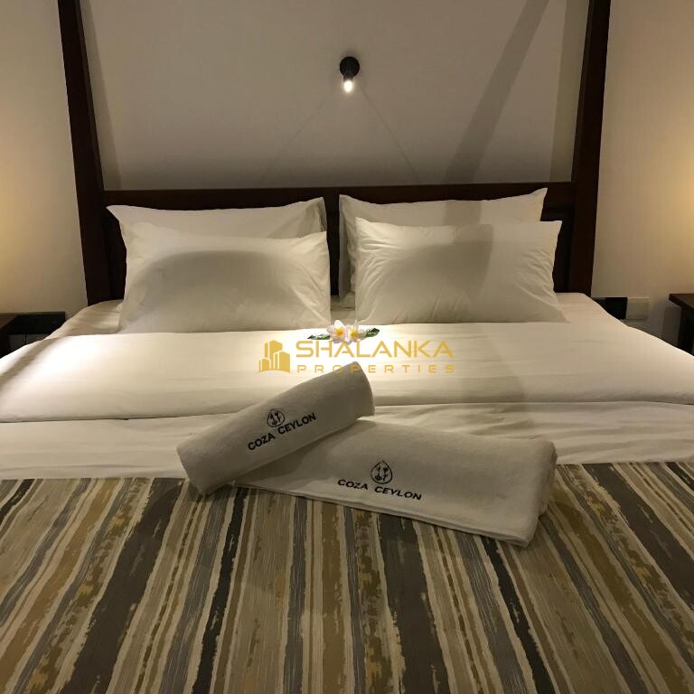 Coza Ceylon,  24 Sripala Road , Mount Lavinia