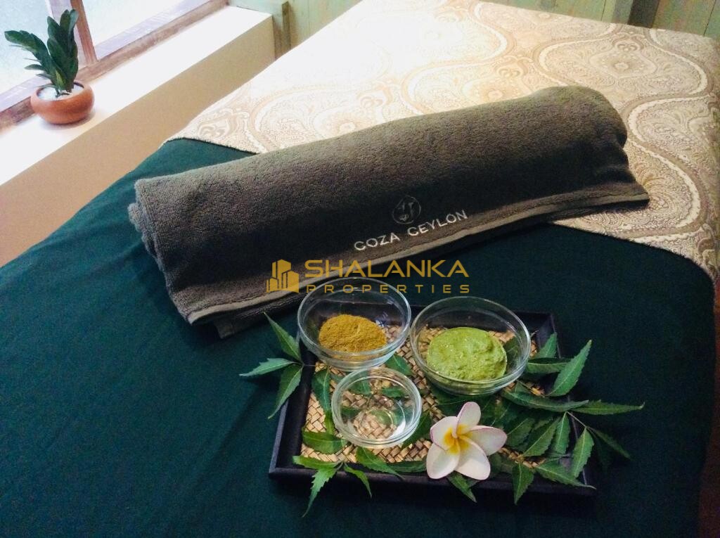 Coza Ceylon,  24 Sripala Road , Mount Lavinia