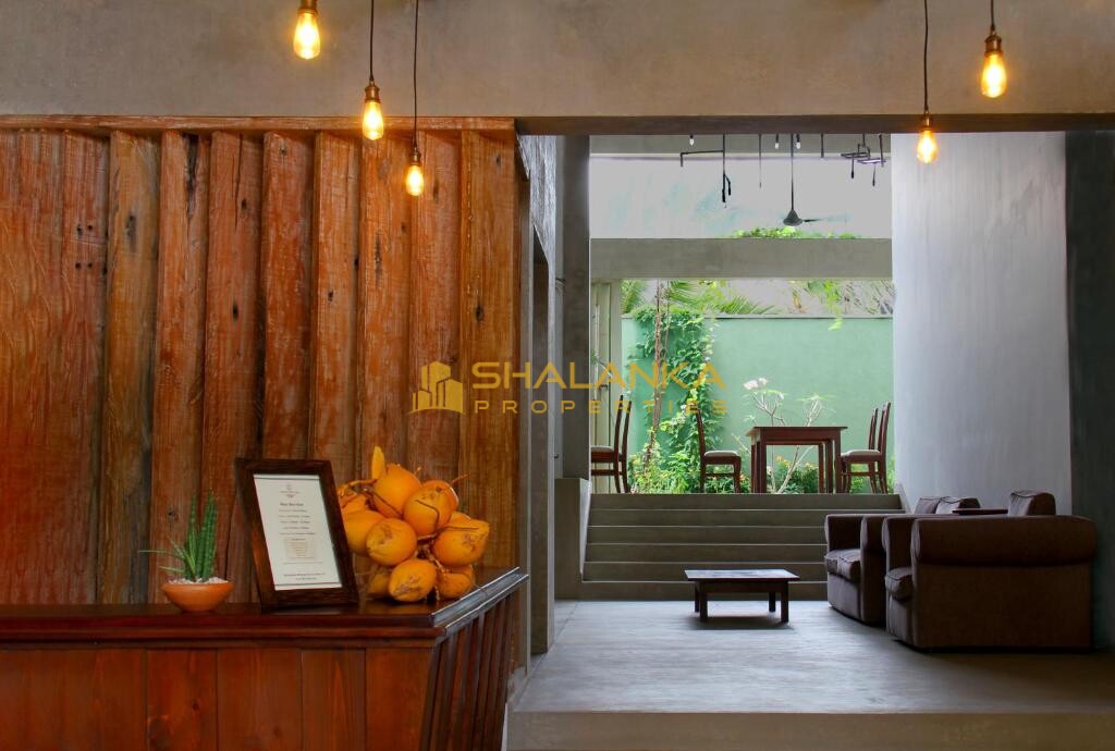 Coza Ceylon,  24 Sripala Road , Mount Lavinia