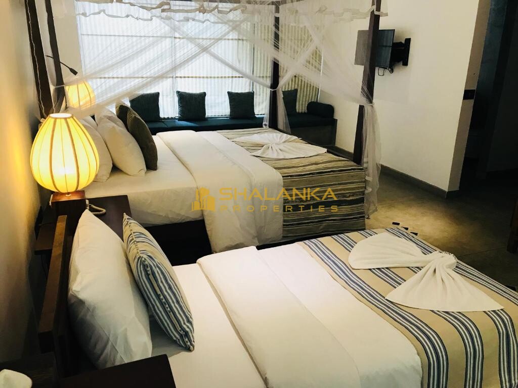 Coza Ceylon,  24 Sripala Road , Mount Lavinia