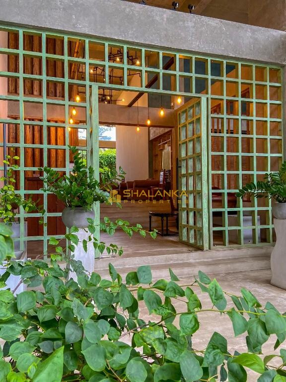 Coza Ceylon,  24 Sripala Road , Mount Lavinia