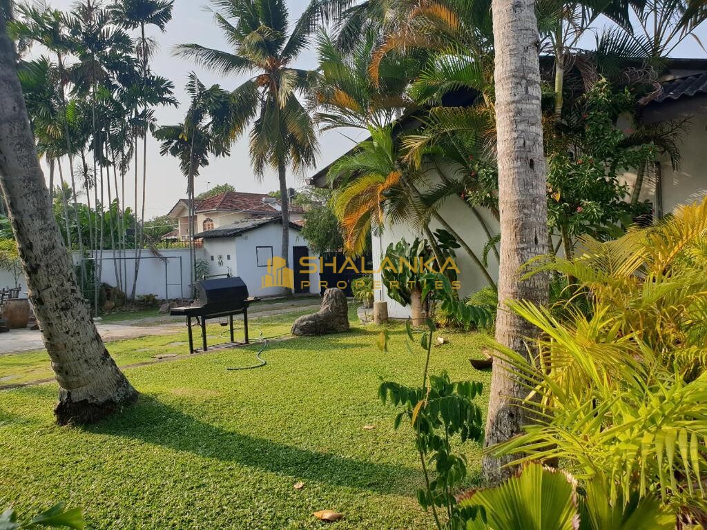 Ice Berg, No.09 Mallika Mawatha, off Templer's Road, 10350 Mount Lavinia