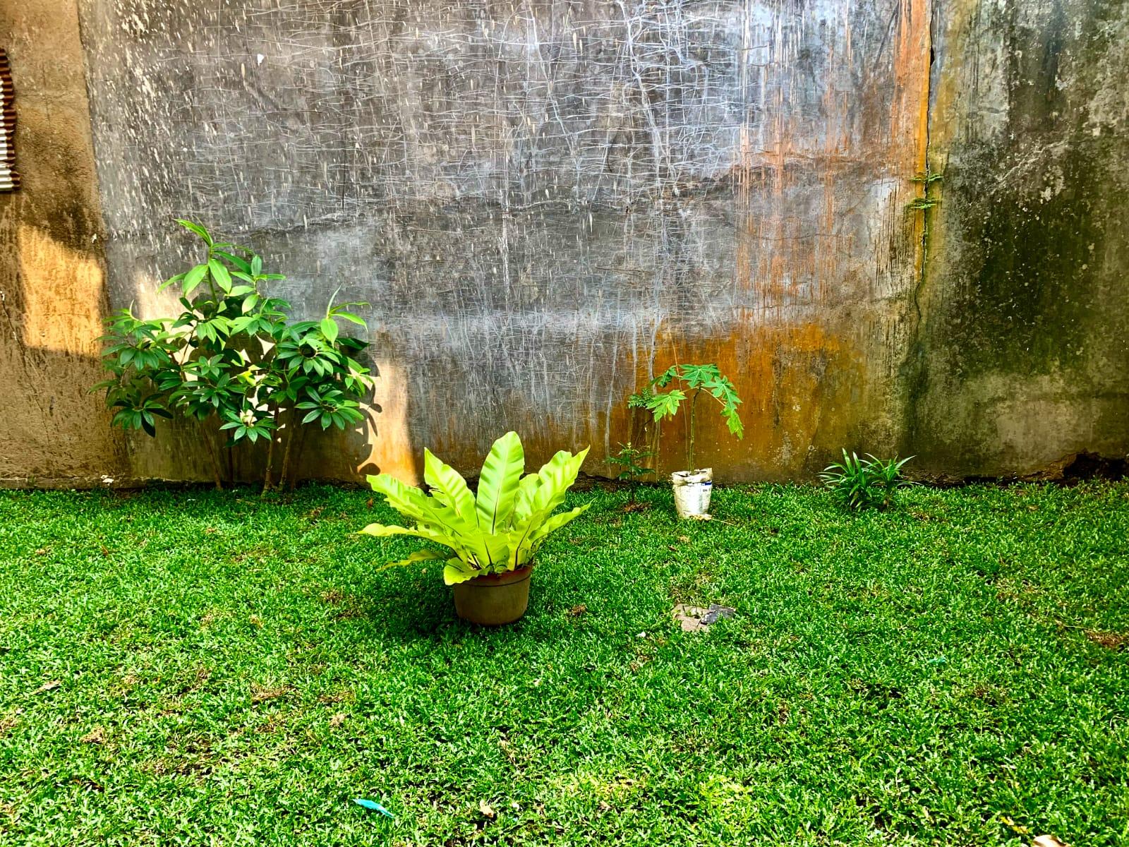 Villa for Rent Mirissa - 3 BHK, USD 650 per Month