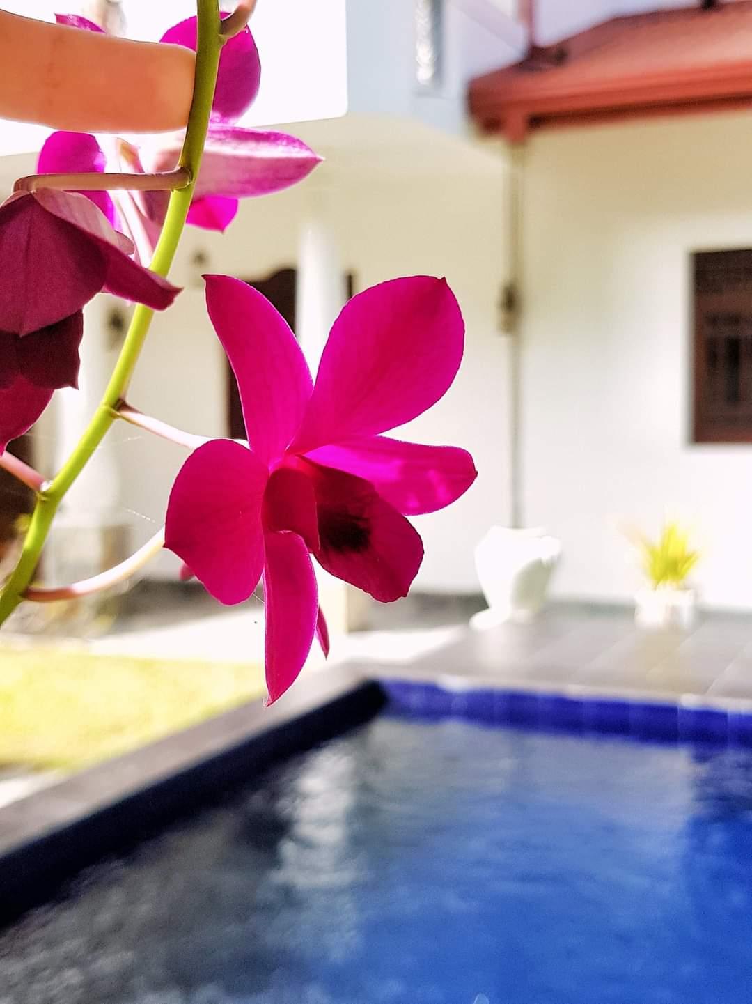 2 BHK Villa for Rent Ahangama - 265000 LKR per Month