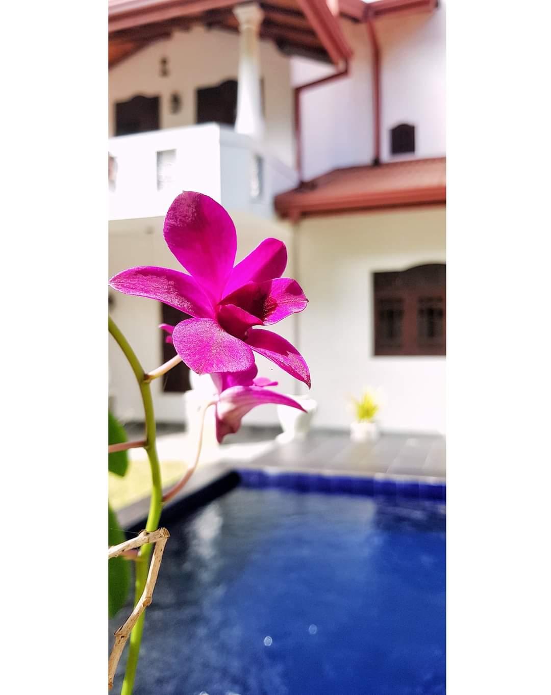 2 BHK Villa for Rent Ahangama - 265000 LKR per Month
