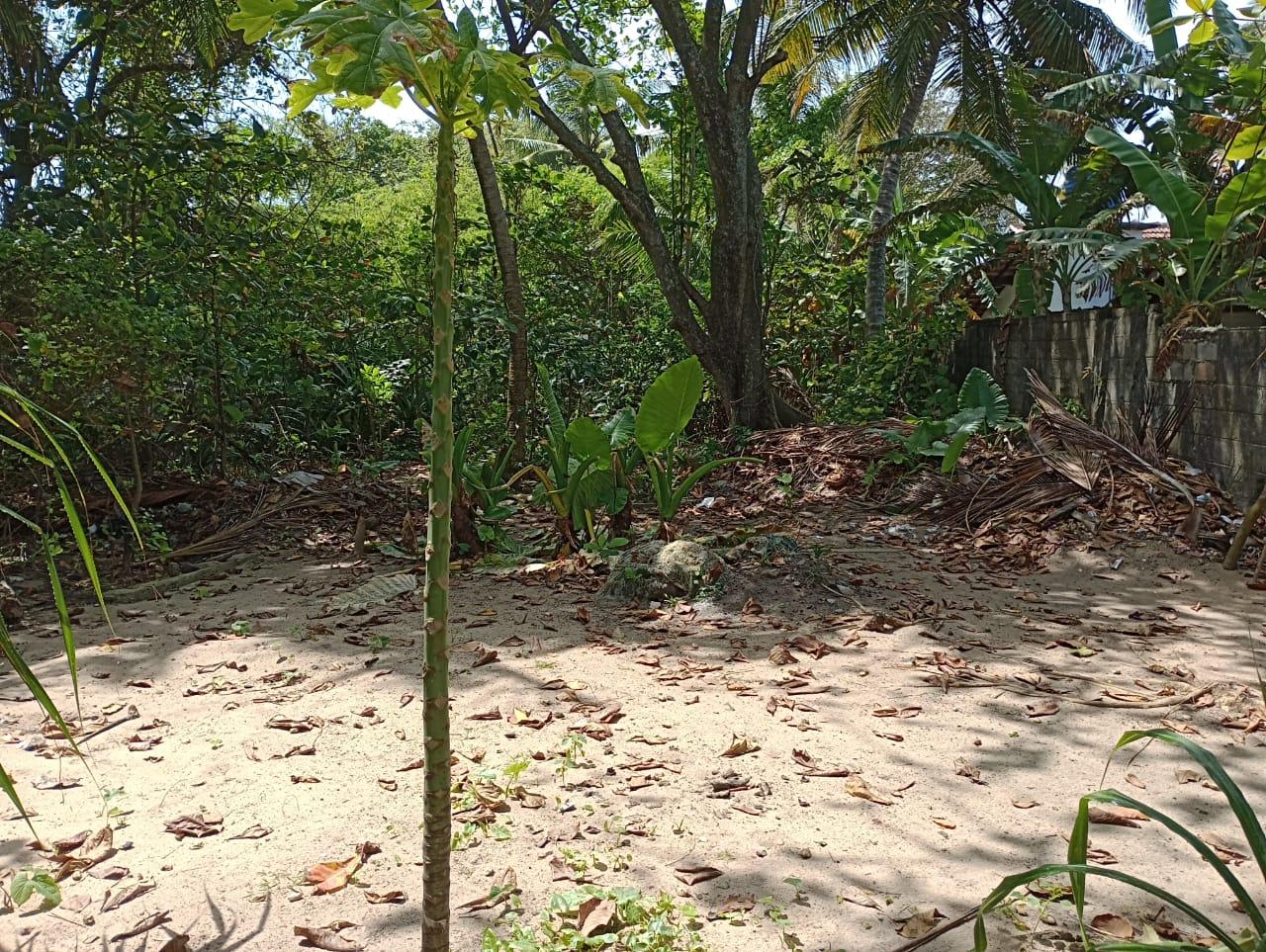 Beach front Land for Sale – Beruwala
