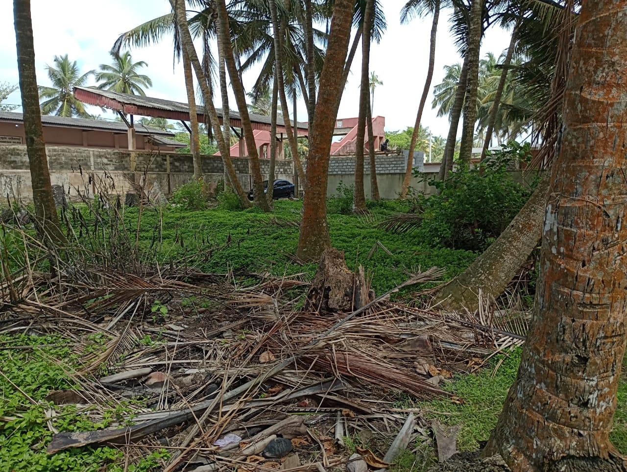 Beachfront Bare Land for Sale – Beruwala